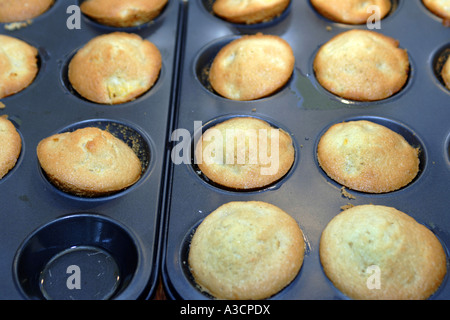 Des gâteaux dans les bacs de cuisson anti-adhésive Banque D'Images