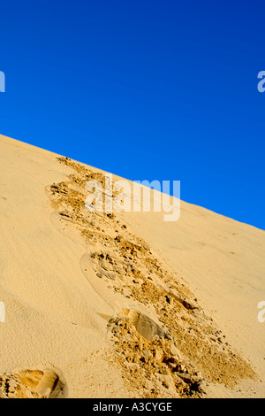 Des empreintes de pas dans le sable sur l'horizon, Queensland, Australie. le beau ciel bleu contrastant avec le sable doux perturbée. Banque D'Images