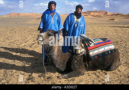 Deux membres d'une tribu berbère Sahara avec un chameau dans les dunes de l'Erg Chebbi sud Maroc Banque D'Images