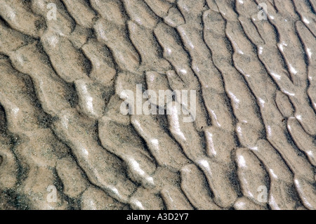 Formes d'ondulation dans le sable causée par l'écoulement de l'eau et ou le vent Banque D'Images