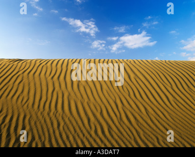 RIPPLED SAND DUNE sur une plage sur fond de ciel bleu dans la lumière du soir. Maspalomas Gran Canaria Espagne Banque D'Images