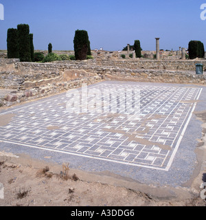 L Escala Empuries près de la demeure de l'ancien grec et romains mosaïques lointaines colonnes Banque D'Images