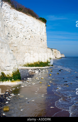 Falaises Blanches de Ramsgate Kent Banque D'Images