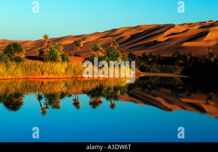 Ce jour-palms au lac Um El Ma'Erg Ubari Erg Ubari, desert Sahara, la Libye, l'Afrique Banque D'Images