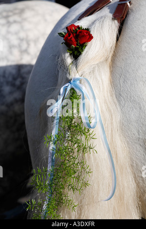 Queue de cheval décoré, Leonhardi parade à Bad Toelz, Haute-Bavière, Allemagne Banque D'Images