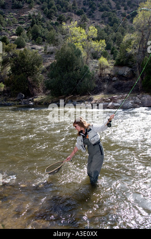 La pêche de mouche en femme de l'Arkansas River, Colorado Banque D'Images