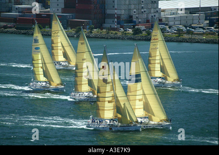 Début de BT Global Challenge Yacht Race, Wellington à Sydney de la jambe, Wellington, Nouvelle-Zélande Banque D'Images