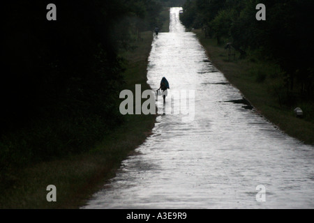 Sri Lanka, pays qui s'étend de la route en distance après la pluie, woman walking découpé sur surface mouillée Banque D'Images