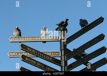 Cheltenham GLOUCESTERSHIRE Angleterre GO UK 2006 Banque D'Images