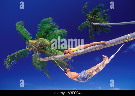 Couple palmier tropical island Banque D'Images