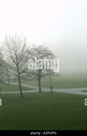 Brouillard décembre dans Regents Park Londres Banque D'Images