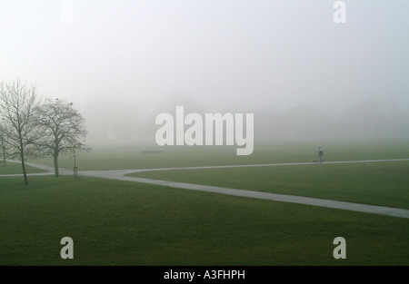 Brouillard décembre dans Regents Park Londres Banque D'Images