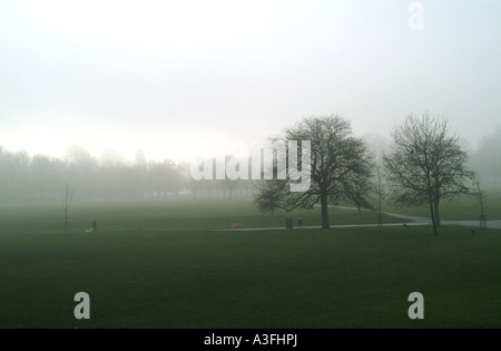 Brouillard décembre dans Regents Park Londres Banque D'Images