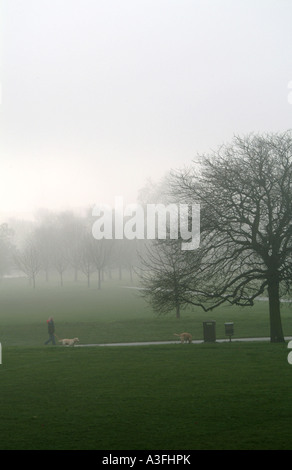 Brouillard décembre dans Regents Park Londres Banque D'Images