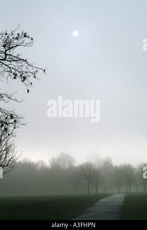 Brouillard décembre dans Regents Park Londres Banque D'Images