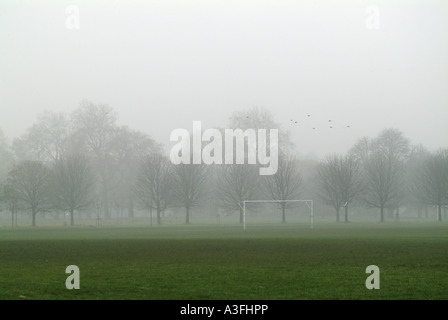 Brouillard décembre dans Regents Park Londres Banque D'Images