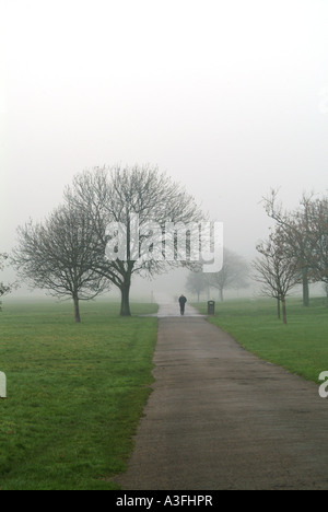 Brouillard décembre dans Regents Park Londres Banque D'Images