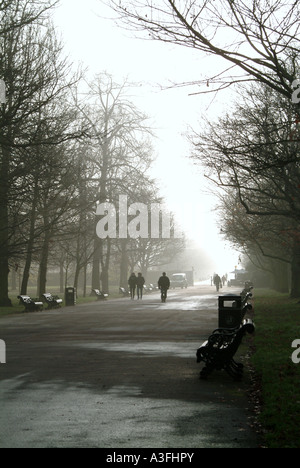 Brouillard décembre dans Regents Park Londres Banque D'Images