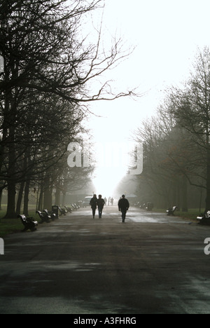 Brouillard décembre dans Regents Park Londres Banque D'Images