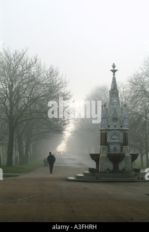 Brouillard décembre dans Regents Park Londres Banque D'Images