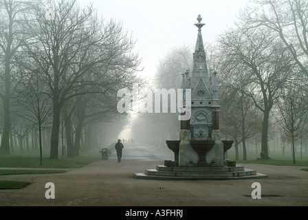 Brouillard décembre dans Regents Park Londres Banque D'Images