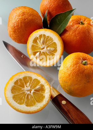 Ensemble et couper les oranges de Séville espagnol avec un couteau l'alimentation éditoriale Banque D'Images