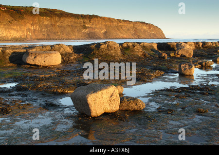 Robin Hoods Bay à la recherche d'algues à travers la plate-forme de roche couverts vers Ness Point également appelé North joue Banque D'Images