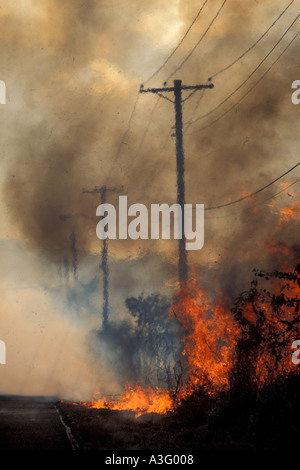 Incendie, Îles Vierges, Hawaii Banque D'Images