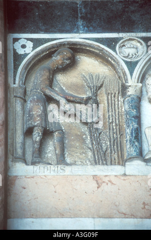 Lucca cathédrale Duomo San Martino façade St Martin chasse en marbre incrusté Lucca Toscane Italie Europe EU Banque D'Images