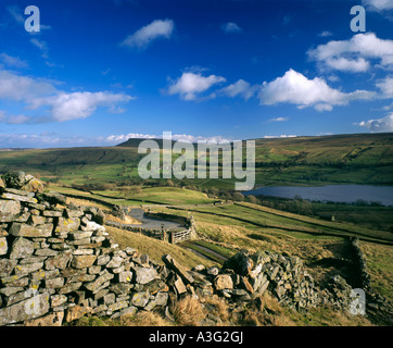 À semer sur l'eau par le village de Countersett dans Raydale Yorkshire Dales UK Banque D'Images