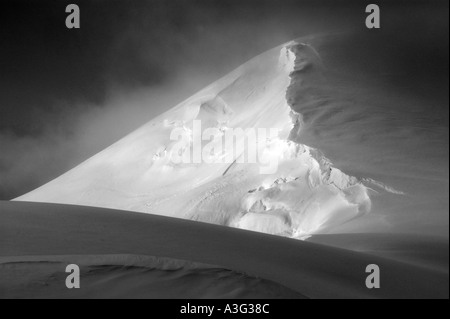 L'âge de glace, paysage de l'Île Anvers, Péninsule Antarctique, l'Antarctique noir et blanc Banque D'Images