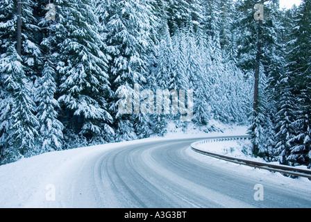 La route d'hiver dans les montagnes olympiques l'État de Washington Banque D'Images