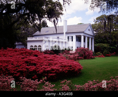 Hôtel particulier d'avant plantation Orton près de Wilmington en Caroline du Nord avec d'énormes buissons d'azalées en fleurs Banque D'Images