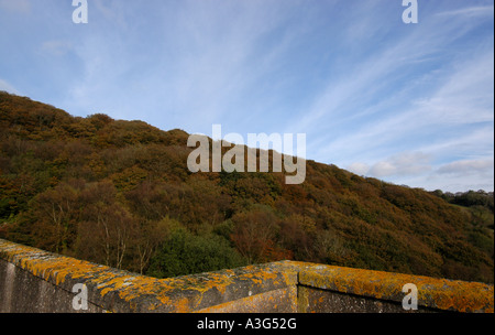 GV de Clatworthy réservoir sur l'Exmoor montrant plus tard que d'habitude des couleurs automnales avec ciel bleu et nuages blancs Banque D'Images