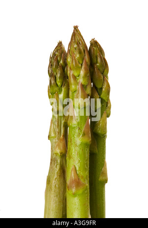 CLOSE UP D'ASPERGES SUR FOND BLANC Banque D'Images