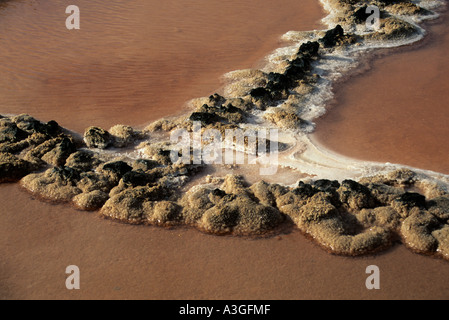 Dans crystalising Détails de sel sel Lanzarote Iles Canaries Espagne Banque D'Images