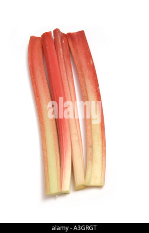 Les bâtonnets de rhubarbe isolated on a white background studio. Banque D'Images