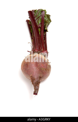 Beet isolated on a white background studio. Banque D'Images