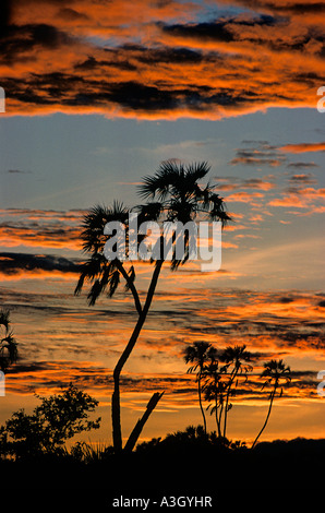 Sunrise Samburu National Reserve Samburu Kenya Afrique Banque D'Images