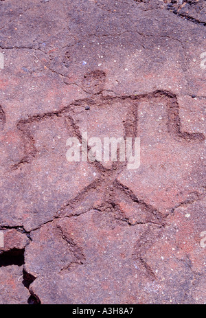 Pétroglyphes inscrits dans le champ de lave Waikoloa Petroglyph Mamalahoa ou King s Trail de Kohala Hawaii Big Island Hawaii USA Banque D'Images