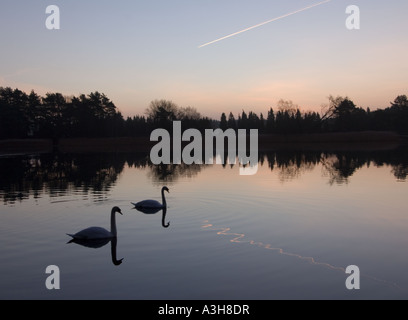 Frensham Little Pond - Surrey - UK Banque D'Images