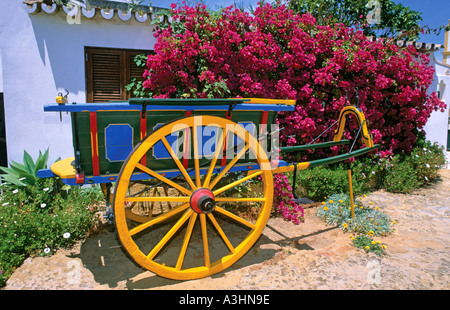 Panier traditionnel et de Bougainvilliers en fleurs en face de ferme typique de l'algarve , Praia da Luz Algarve Portugal Europe Banque D'Images