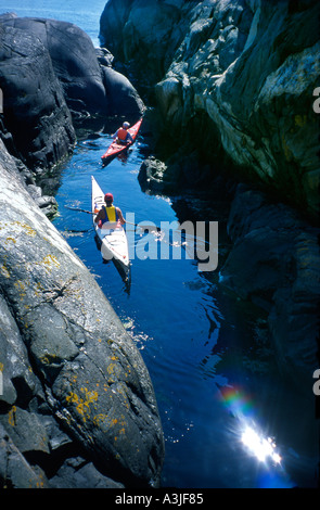 Les kayakistes explorer l'archipel Koster côte nord de l'ouest de la Suède Banque D'Images