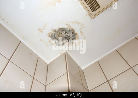 La moisissure sur le plafond dans une salle de bains. Banque D'Images