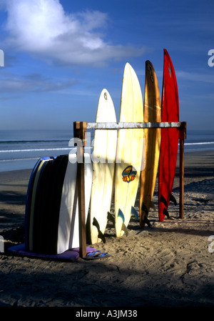 Location de planches debout dans le sable sur la plage de Kuta Bali Banque D'Images