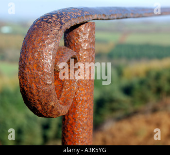 Macro Close up of rusty metal dénoyautées et la main courante en haut de Blackinstone Rock, près de Clapham à Dartmoor Banque D'Images