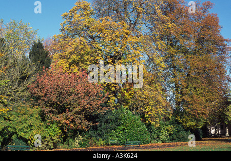 Couleurs d'automne Sydney Gardens Spa Bath, Somerset, Angleterre, Royaume-Uni Banque D'Images