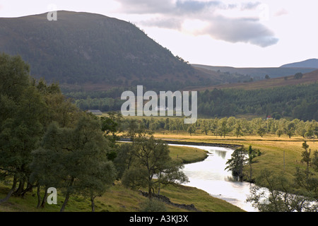 De Dee Linn Quoich Glen près de Braemar Forêt de Marr Grampian mountains Aberdeenshire Highlands écossais Banque D'Images