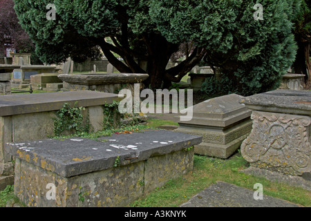 Yew Tree ancien cimetière Eglise St Mary the Virgin Cotswolds Gloucestershire Angleterre Juillet 2006 Banque D'Images