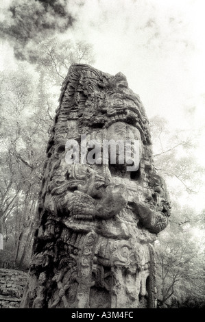 COPAN HONDURAS sculptés en pierre mégalithe stela illustrant les anciens Mayas, fumée King Lapin 18 Copan Honduras par Jamie Marshall Banque D'Images
